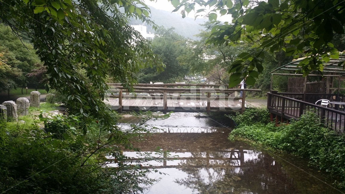 garden,정원,다리,bridge,nature,자연,자연,풍경,nature,landscape,outdoors,옥외,arbour,정자