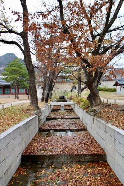 tree,나무,plant,식물,treetrunk