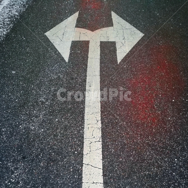 선택,갈림길,양방향,방향,지시,교통,교통수단,traffic,transportation,asphalt,아스팔트,road,도로