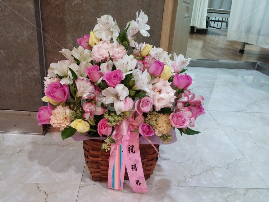 plant,식물,꽃바구니,선물,flower,화환