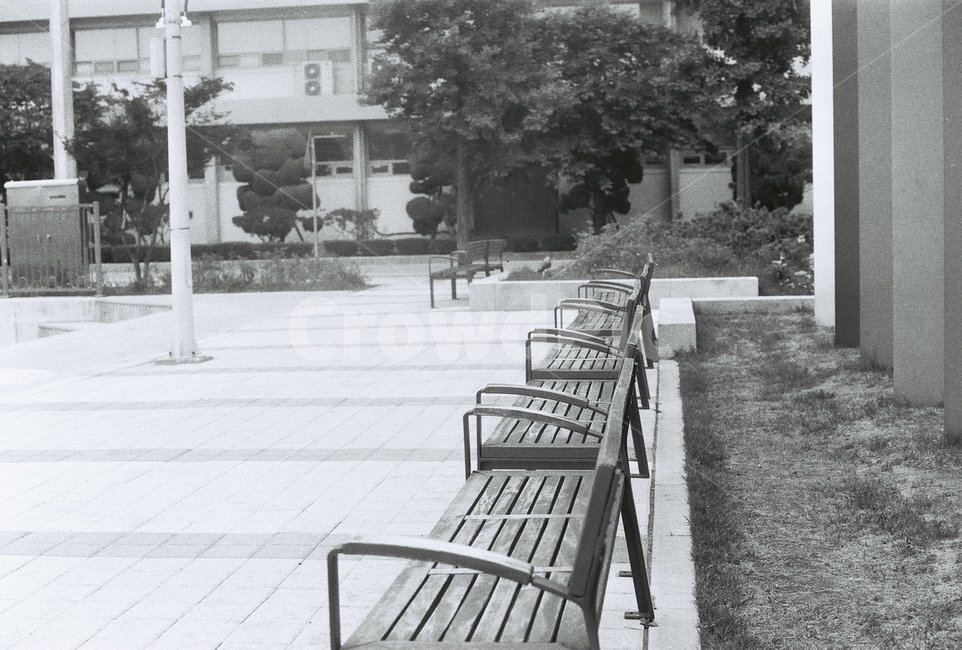 의자,필름카메라,고즈넉함,가을,벤치,흑백