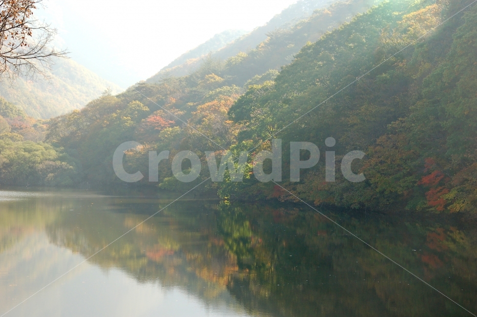 주산지,저수지,호수,나무,풍경,가을,단풍,가을풍경,가을사진,가을이미지,산,숲,자연,반영,물,풍경사진,풍경이미지,청송군,경상북도,한국,가을,계절,fall,autumn,season,자연,풍경,nature,landscape,한국자연풍경,한국자연경관,korea nature landscape,outdoors,옥외,water