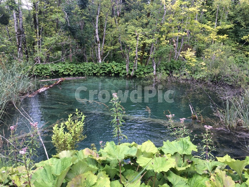 호수,폭포,lake,waterfall,크로아티아,croatia,에메랄드,emerald,자연,nature,국립공원,플리트비체