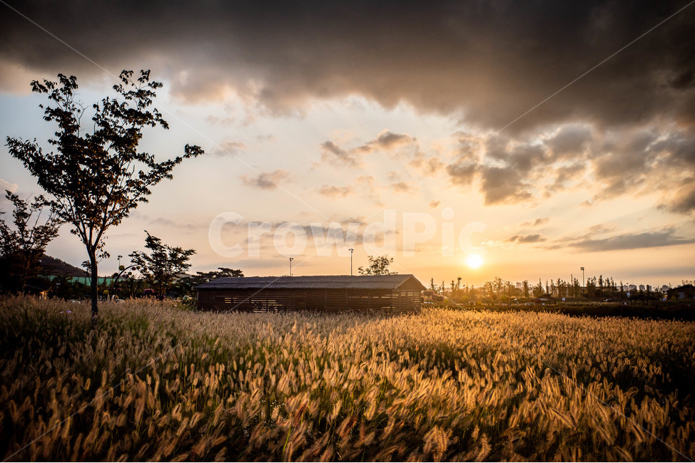 가을,autumn,sunset,노을,풍경,가을,계절,fall,autumn,season,자연,풍경,nature,landscape,plant,식물