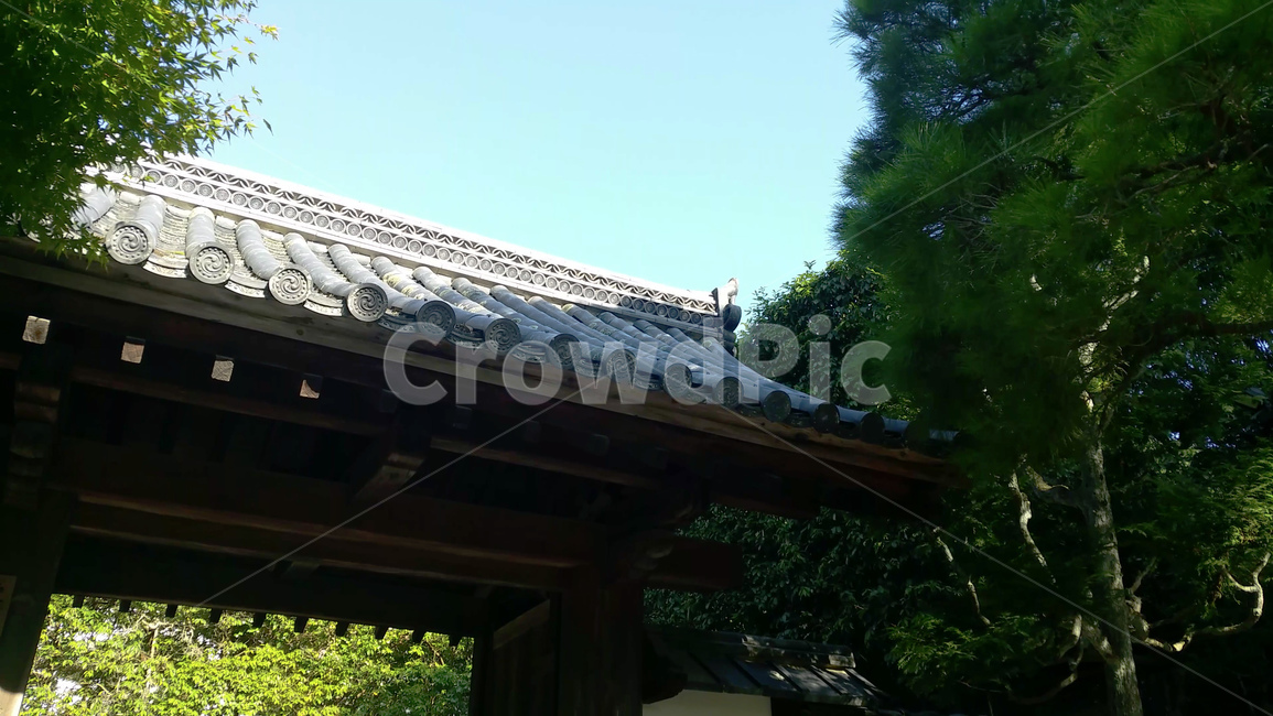 기와집,일본,힐링,봄,여름,나무,전통,일본전통