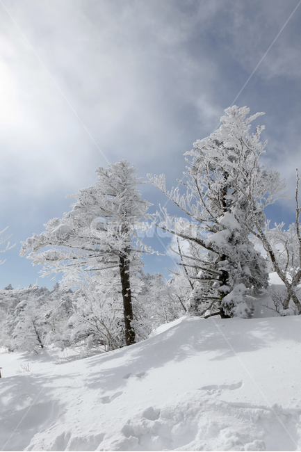 겨울,한라산,설경,자연,눈꽃,겨울,계절,winter,season,자연,풍경,nature,landscape,outdoors,옥외,snow,눈
