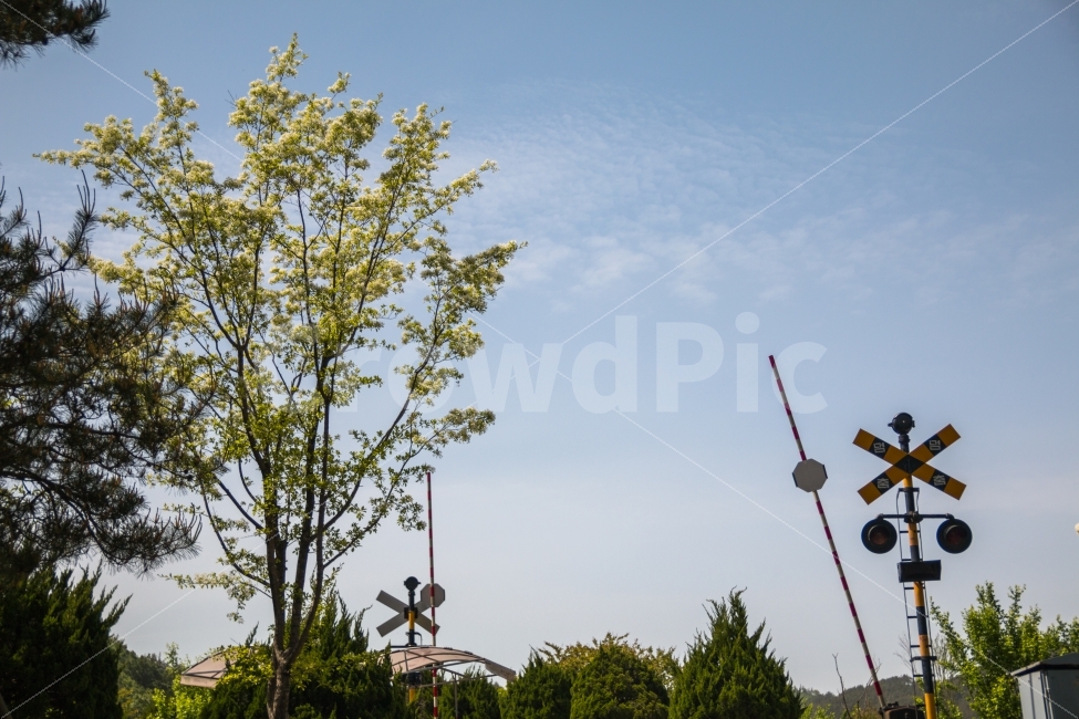 풍경,기차길,철길,기차역,하늘,여름,자연,풍경,nature,landscape,교통,교통수단,traffic,transportation