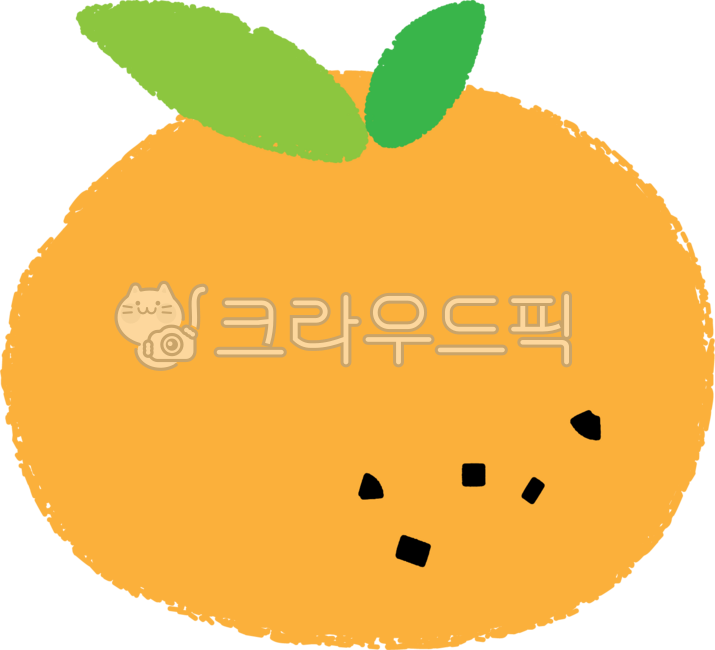 귤,오렌지,한라봉,천혜향,시트러스,귀여운,겨울,제주도,제주,특산품,과일,상큼한,금귤,orange,fruit,맛,선물,비타민,vitamin,비타민씨,당분,푸드일러스트,일러스트,food