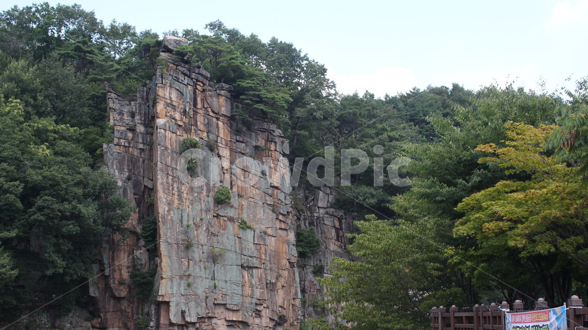 단양팔경,사인암,절벽,나무,풍경,자연환경,돌,명승,단양,자연,풍경,nature,landscape,한국자연풍경,한국자연경관,korea nature landscape,outdoors,옥외,cliff,낭떠러지