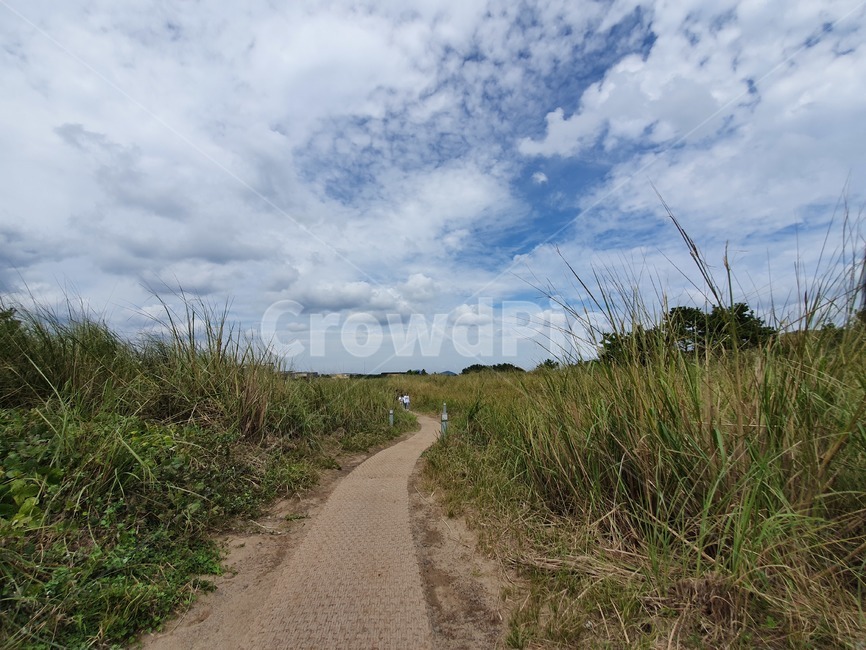 흙길,dirtroad,road,도로,gravel,자갈,ground,바닥,하늘,구름,하늘색