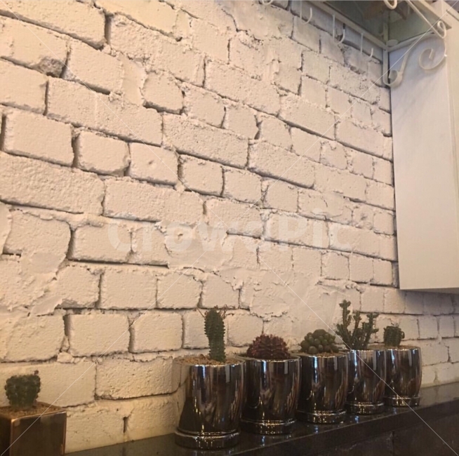 카페인테리어,화분,인테리어,선인장,감성사진,벽돌,인테리어,실내디자인,interior design