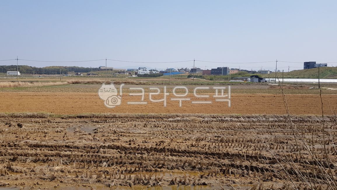 시골, 밭, 논, 땅, 황금, 사진,이미지,일러스트,캘리그라피 - 제제7작가