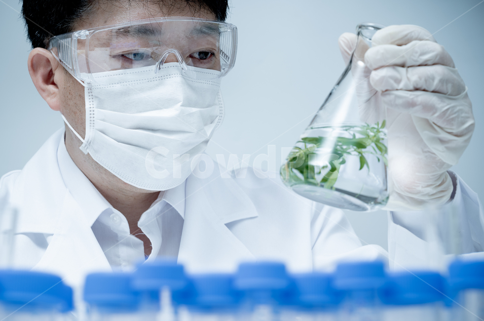 medical,biotechnology,education,lab,Asian,one person,fixtures,experiment,supplies,study room,development,researcher,biology,test,equipment,analysis,Japanese,tube,laboratory,background,science,plant,pharmacy,male,scientist,concept,botany,specimen,examinati