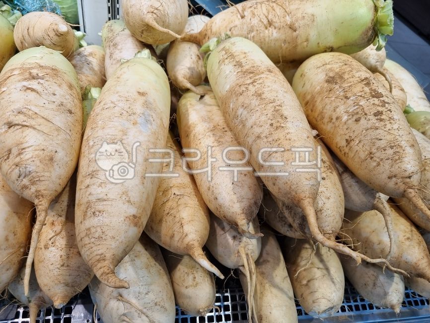 food,음식,식재료,음식재료,무,국내산,무농약,radish,순무,유기농,organicfarming,요리재료,foodingredients,cookingmaterial,foodstuff