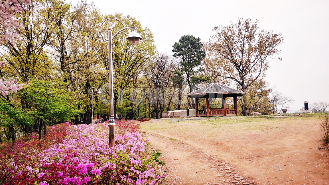 풍경,배경,정자,꽃,자연,자연,풍경,nature,landscape