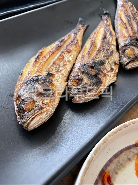 fish, 생선, 조기, 생선구이, 구이, 사진,이미지,일러스트,캘리그라피 - 꼰주작가