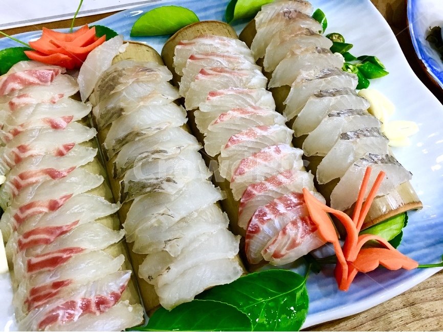 회,모둠회,바다회,회사진,광어,우럭,도미,음식,식재료,요리,food,cook,meal,dishes,food reserves,수산물,해산물,fishery products,seafood