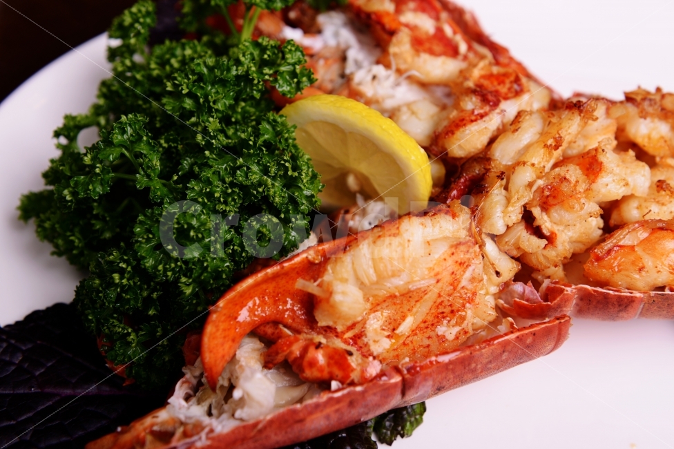 음식,파슬리,소스,랍스타,해산물,레몬,parsley,sauce,seafood,lemon,food,lobster,음식,식재료,요리,food,cook,meal,dishes,food reserves,수산물,해산물,fishery products,seafood,양식,서양음식,서양요리,western food,western dishes,western meal,western cook