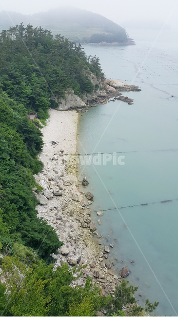 해변,돌,바다,전경,경치,나무,자연,nature,해안선,풍경,자연,풍경,nature,landscape,promontory,곶
