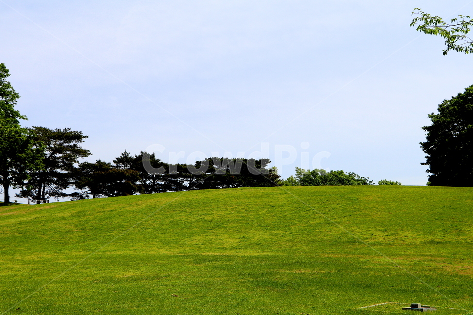 초원,풍경,하늘,나무,식물,초록색,자연,풍경,nature,landscape,grass,잔디,plant,grassland,목초지,field,들,outdoors,옥외