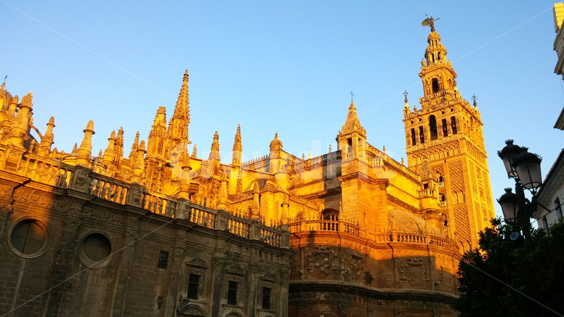 스페인,세비야,히랄다탑,세이야대성당,야외,건물,건축물