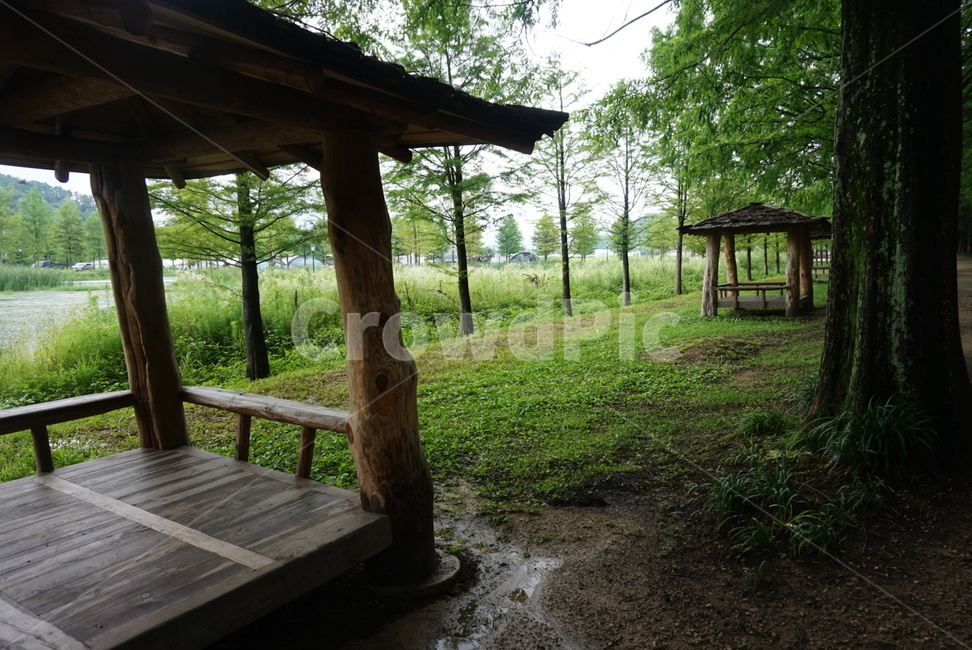 쉼터,나무,산책로,감성적,비온뒤,계절,봄,가로수길,자연,풍경,nature,landscape,porch,현관,patio,안마당,pergola,페르 골라