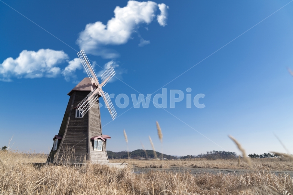 풍차,풍경,파란하늘,갈대밭,방앗간,건축,하늘,고대,건축양식,건축학,네덜란드,자연,바람,기술,풍차마을,문화마을,푸른하늘,해외여행,여행,관광,시골,회전,유럽,배경,건물,자연,풍경,nature,landscape,motor,모터,machine,기계,engine,엔진