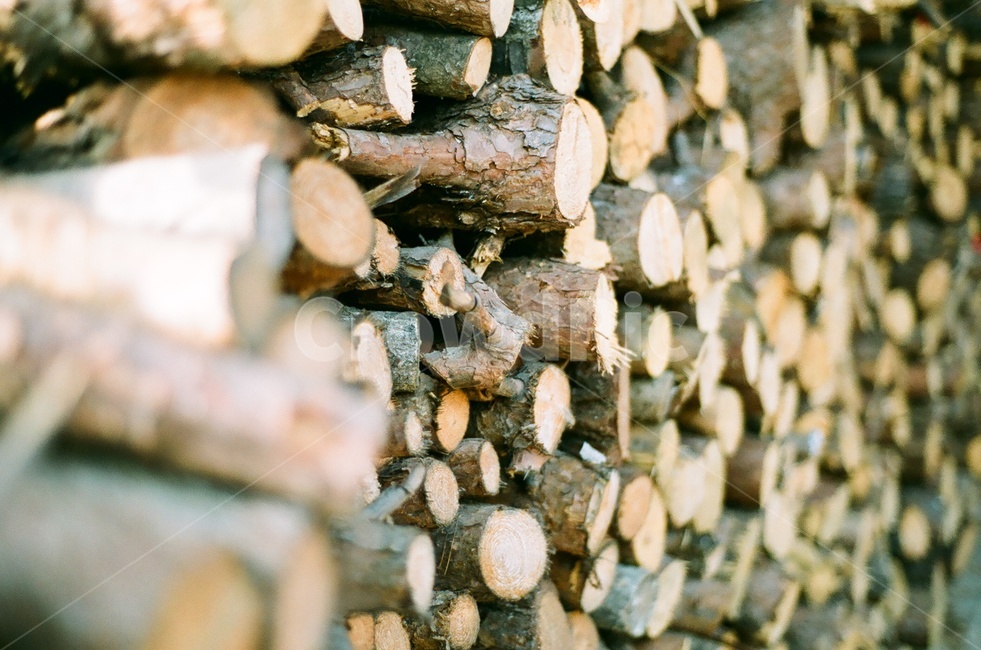 마을,장작,나무,아궁이,한옥,나무,trees,wood