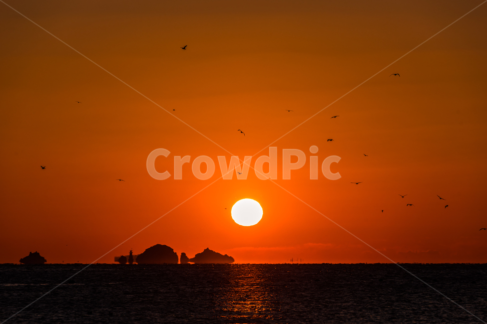일출,해,풍경,landscape,바다일출,거제바다,궁농마을일출,자연,풍경,nature,landscape,한국자연풍경,한국자연경관,korea nature landscape,sunlight,햇빛,outdoors,옥외,sunset,일몰,dawn,새벽,red sky,붉은 하늘,sky,하늘,dusk,황혼