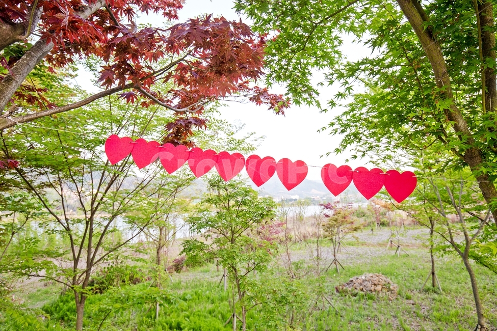 자연,하트,나무,잔디,풍경,nature,scenery,tree,단풍,나뭇잎,하늘,감정표현,기분,feeling,emotion