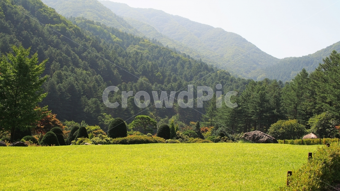숲속,여행,자연,풍경,잔디밭,정원,공원,수목원,산책,휴양림,평화로운,목가적인,아침,감성,휴식,forest,travel,nature,scenery,grass,garden,park,walk,peaceful,morning,green,초록,자연,풍경,nature,landscape,plant,식물,잔디,outdoors,옥외,field,들,grassland,목초지
