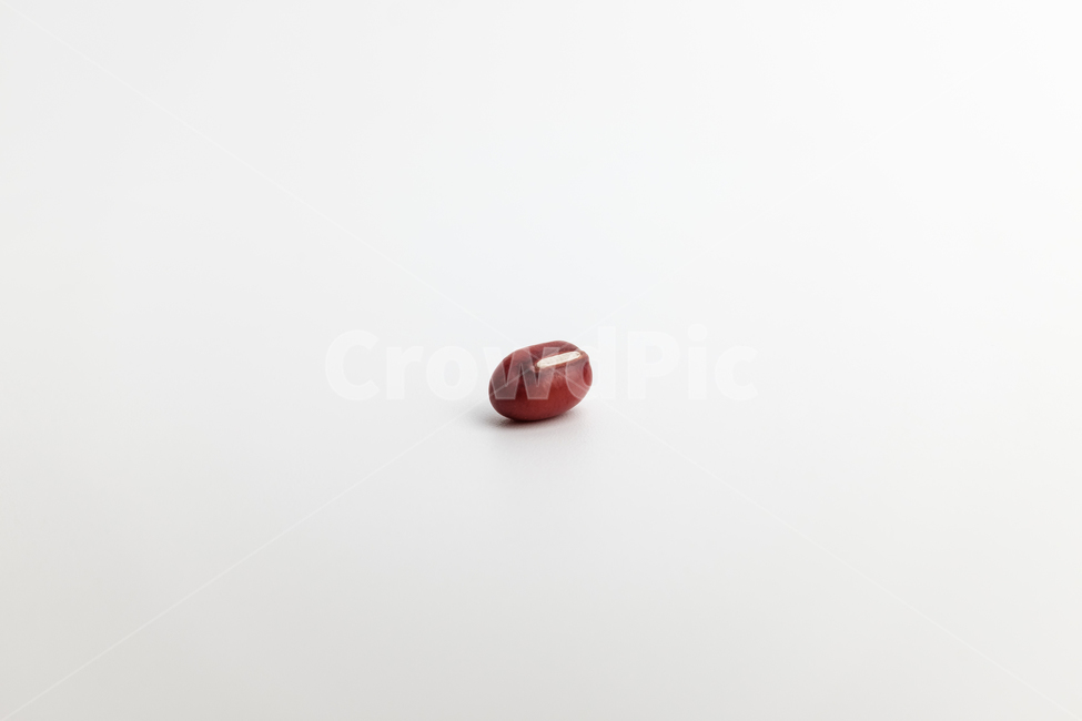 팥,콩,씨앗,날것,채식,채소,곡식,곡물,빨간색,씨눈,식품,음식,재료,식재료,음식재료,건강한,씨,탄수화물,식물,겨울,딱딱한,마른,아시아,아시아음식,잘익은