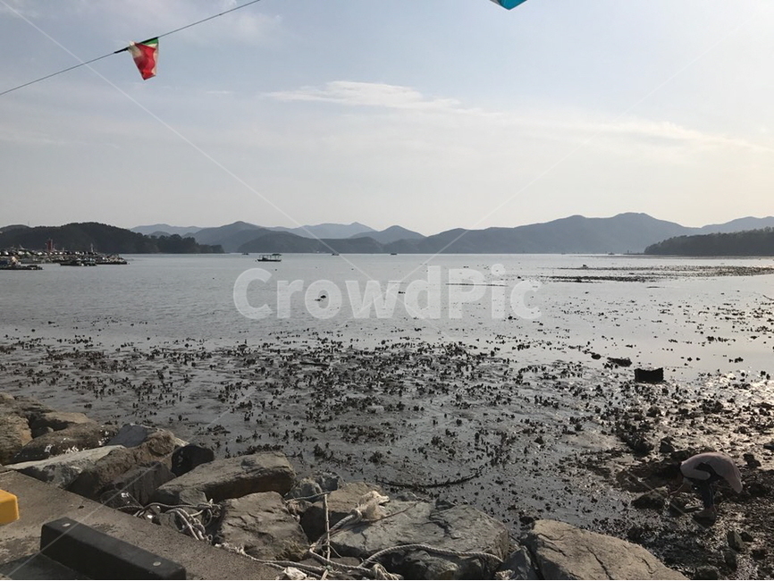 바다,갯벌,하늘,구름,썰물,자연,풍경,nature,landscape,한국자연풍경,한국자연경관,korea nature landscape,leisure activities,레저 활동,adventure,모험,gliding,활공