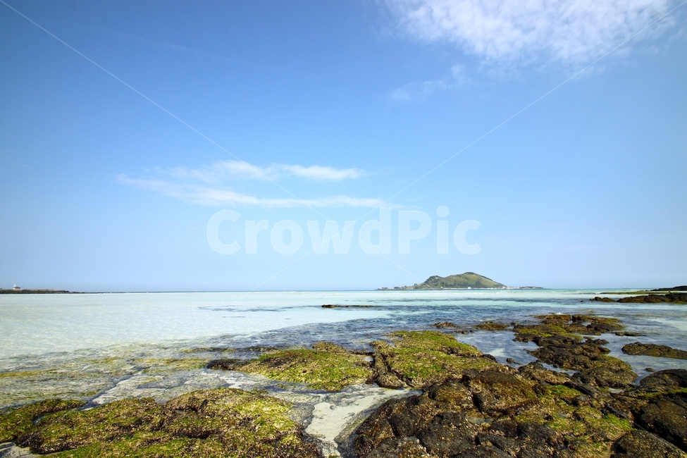 제주도,해변,풍경,바다,협재,협재해수욕장,모래,하늘,푸른하늘,절경,landscape,landmark,sea,beach,제주,자연,풍경,nature,landscape,한국자연풍경,한국자연경관,korea nature landscape,제주도,jeju,jeju island,plant,식물