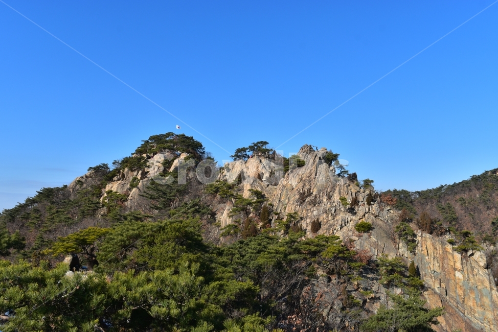 관악산,풍경,겨울,자연,눈,스포츠,등산,산행,nature,snow,겨울풍경,느낌,아름다운,신비로운,경이로운,기암,바위,암봉,암릉,다큐,필,힐링,명산,landscape,winter,season,트레킹,100대명산,인기명산,조망,전망,정부청사,6봉,수목원능선,바윗길,암릉길,명품송,소나무,자연,풍경,nature,landscape,한국자연풍경,한국자연경관,korea nature landscape,outdoors,옥외,cliff,낭떠러지