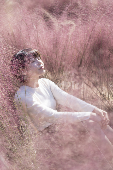 핑크뮬리,수목원,청산수목원,핑크,가을,가을,계절,fall,autumn,season,사람,인물,인간,human,person,여성,여자,woman,female,lady,휴식,힐링,rest,relaxation,healing,face,얼굴