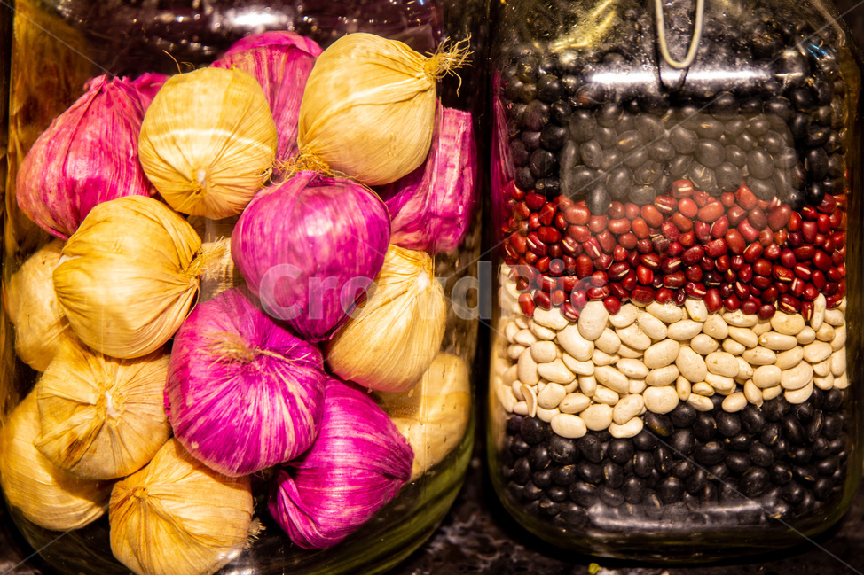 콩,검은콩,흰콩,붉은콩,plant,식물,whitebeans,blackbeans,redbeans