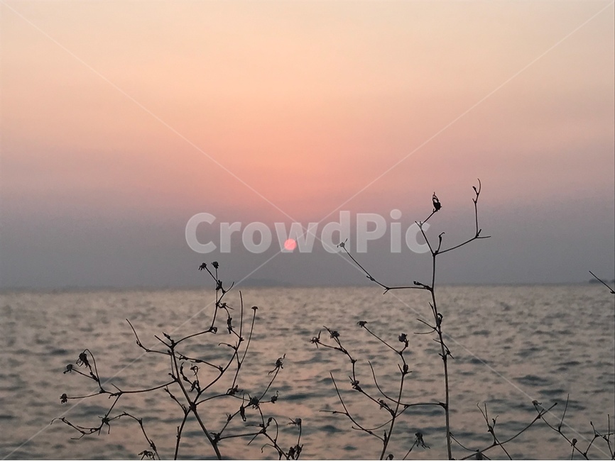 석양,노을,일몰,바다,자연,sunset,sea,대부도,풍경,자연,풍경,nature,landscape,outdoors,옥외
