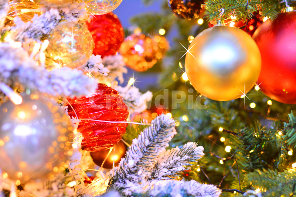 크리스마스,성탄절,장식물,트리,데코레이션,디스플레이,전시용,크리스마스볼,christmas,xmas,예수탄생일,공,볼,원형,조명,전구,빛,라이트반사,광택,분위기,배경,바탕,백그라운드,칼라풀,colorful,decoration,display,ball,light