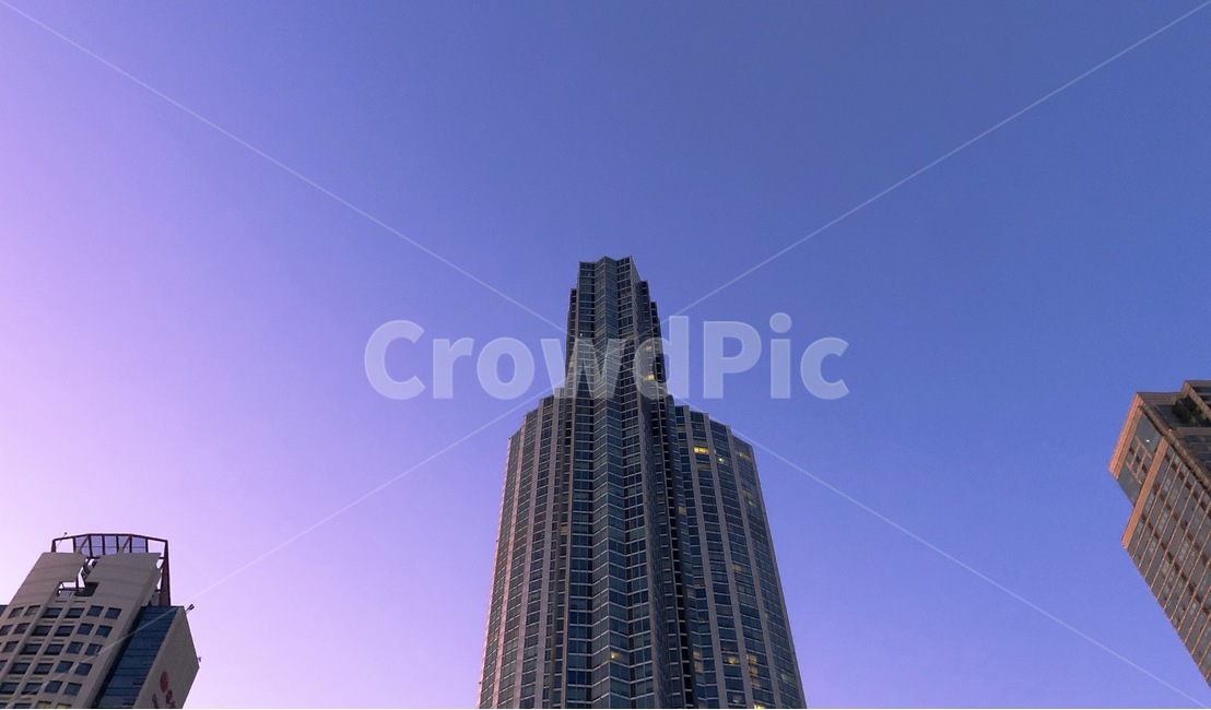 건물,고층건물,도시,노을,보라,파랑,건축물,건물외관,exterior,building,structure,architecture,construction