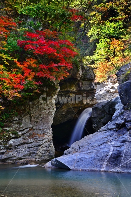 waterfall,폭포,water,물,nature,자연,river,강,outdoors,옥외,plant,식물,leaf,잎,강원도,인제,상남,용소폭포,단풍,추색,낙엽,단풍잎,자연,풍경,nature,landscape