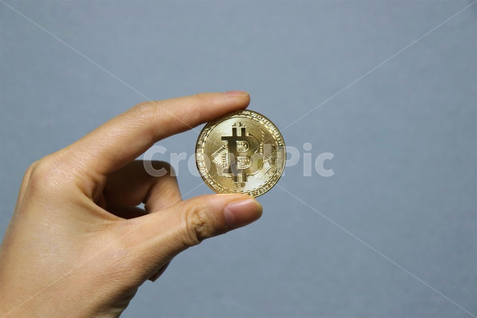 비트코인,bitcoin,코인,주화,손,사물,근접,금융,돈,finance,banking,money