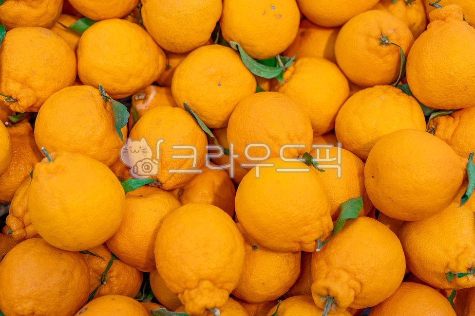 citrus fruits,Fruit,fruit,snack,tree fruit,Hallabong,leaf,Orange,food,citrusfruit,orange