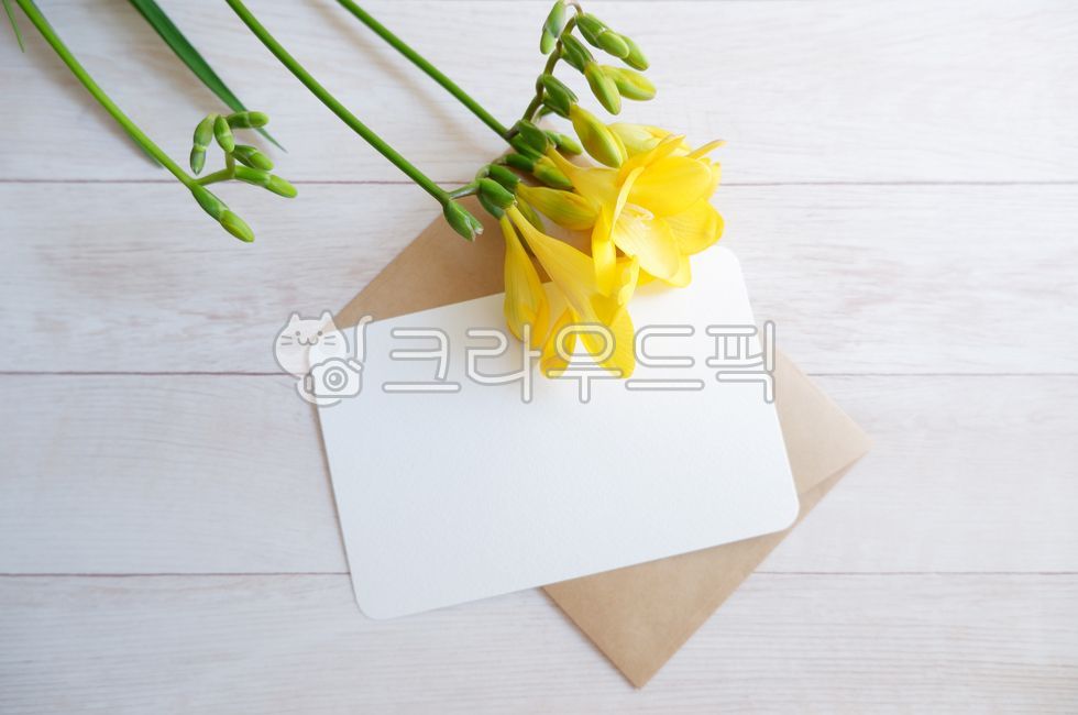 봄,꽃,봄꽃,후리지아,노랑색,노란꽃,편지지,카드,엽서,식물,봉투,목재,목재테이블,목재배경,봄배경,녹색,flower,floral,letter,greeting,yellow,card,woodentable,freesia,프리지아,프리지아꽃