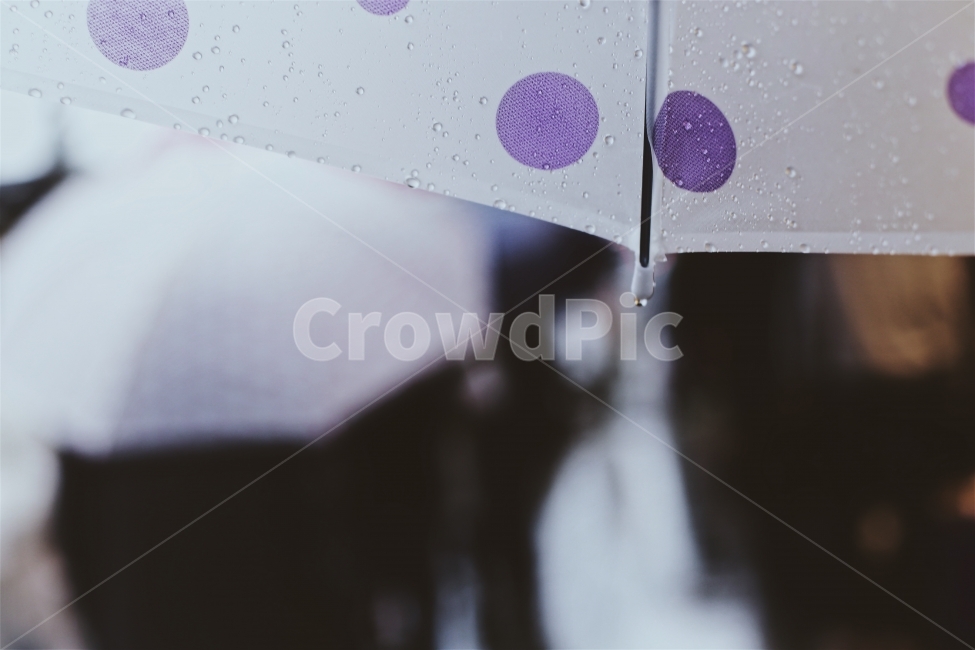 비,우산,비오는날,풍경사진,빗방울,날씨,땡땡이,도트,감성,sensible,feeling,비,비오는날,rain,rainy