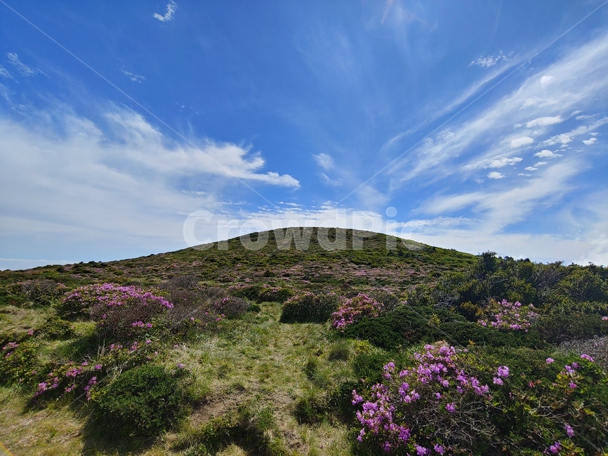 하늘,산,구름,들판,진달래,mountain,sky,clouds,green,초록,등산,한라산