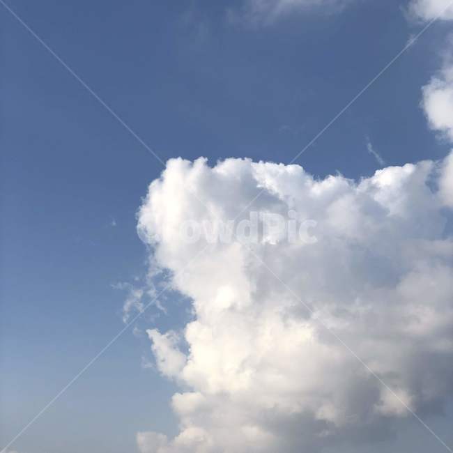 nature,자연,outdoors,옥외,azuresky