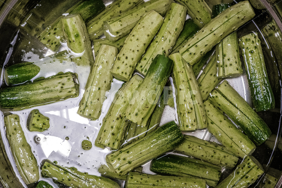 오이,야채,채소,식물,음식,음식,식재료,요리,food,cook,meal,dishes,food reserves,채소,야채,vegetables