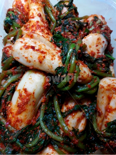 총각무김치,chonggakkimchi,koreanfood,한식,김치,무,radish,요리,음식,food,foodlife,음식,식재료,요리,food,cook,meal,dishes,food reserves,한식,한국음식,한국요리,korean food,korean dishes,korean meal,korean cook