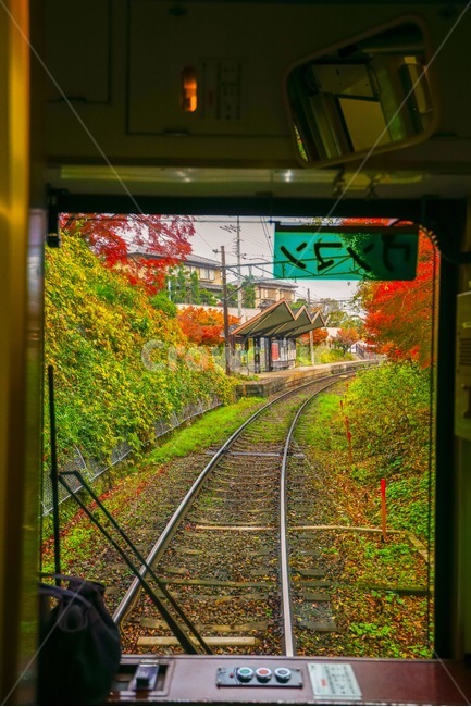 rail,레일,traintrack,기찻길,transportation,교통,railway,철도,단풍,maple